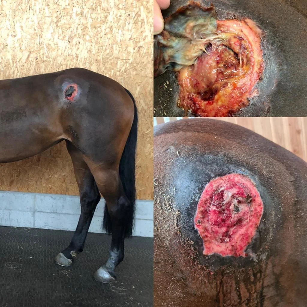 viber_image_2023-07-02_15-38-22-518