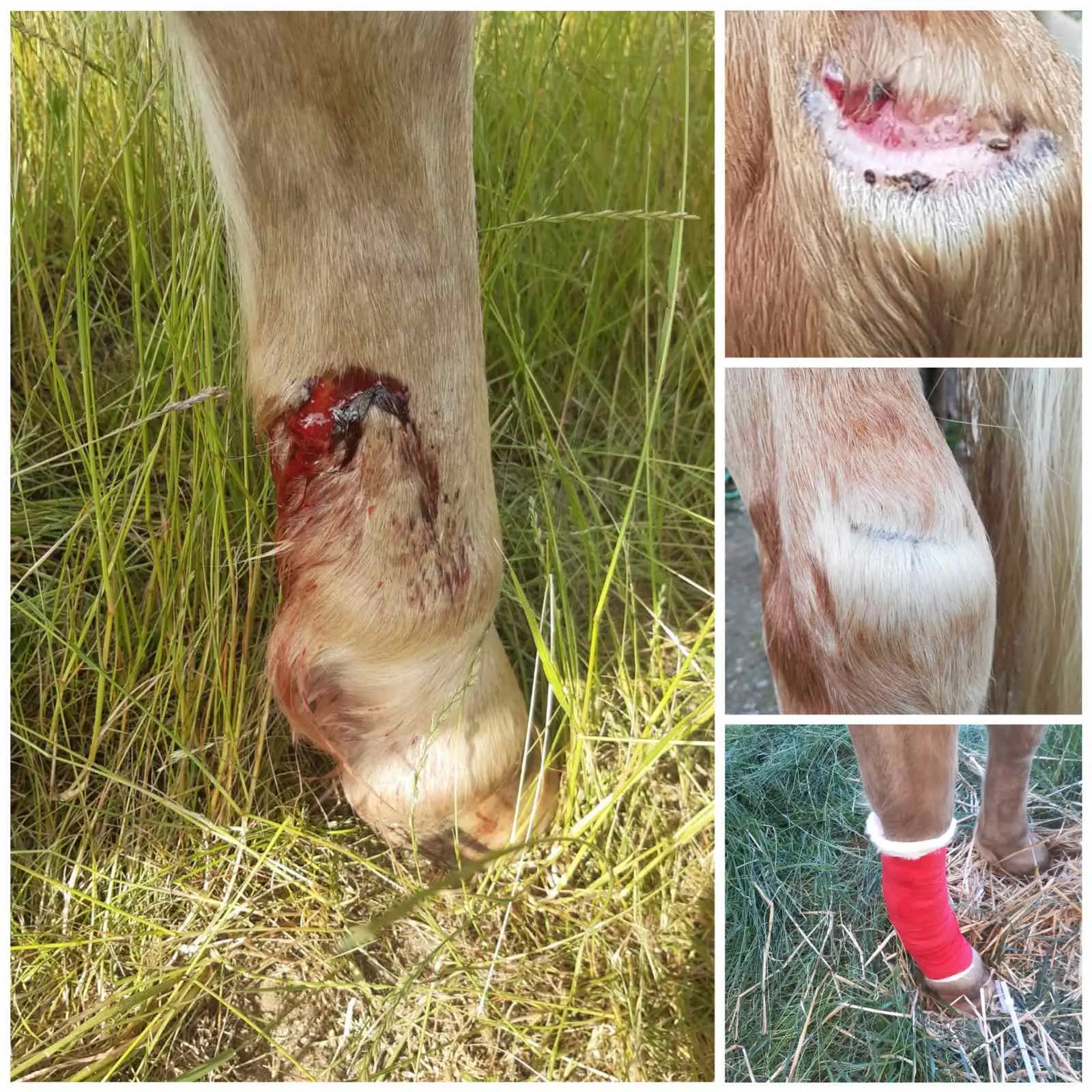 viber_image_2023-07-02_15-38-23-797